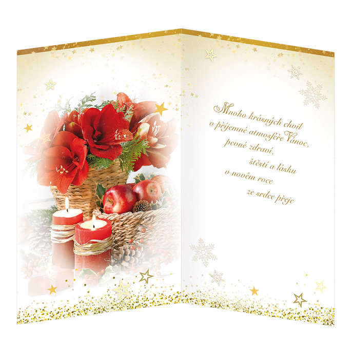 11-6459 Christmas greeting card CZ