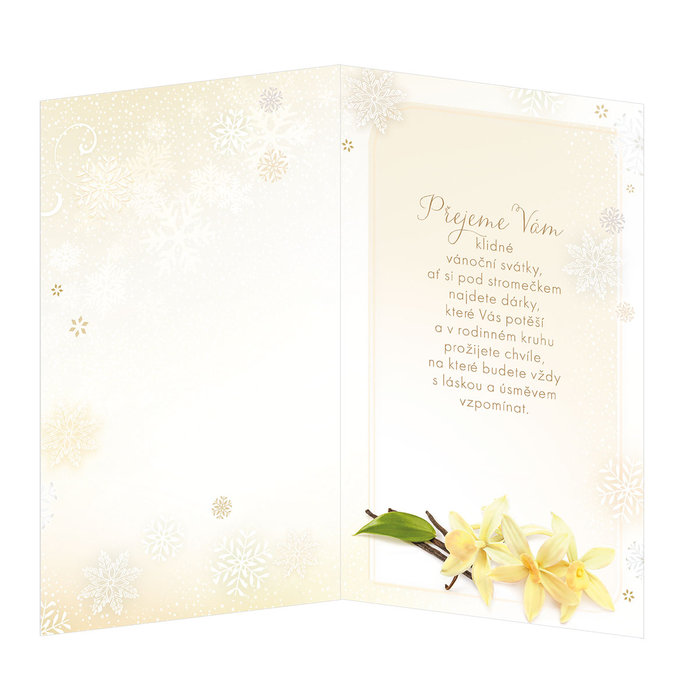 11-6384-2 Christmas greeting card CZ