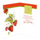 15-6202 Greeting card CZ/20