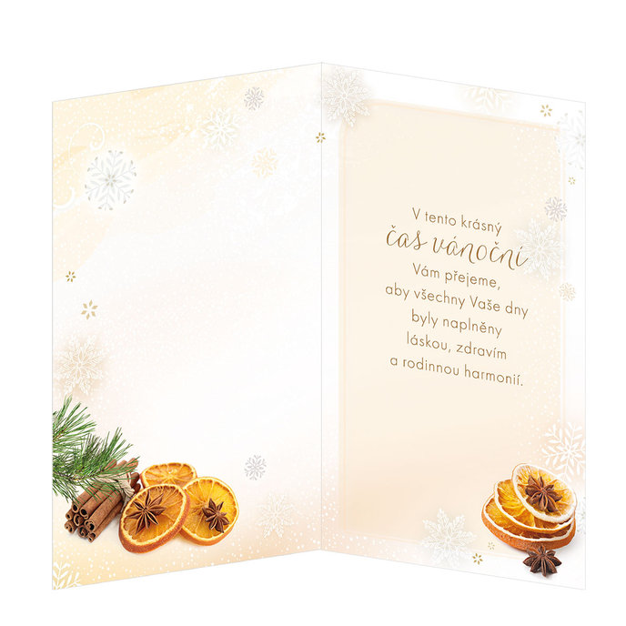 11-6380 Christmas greeting card CZ