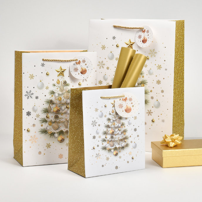 0859-0168 Gift bag LUX