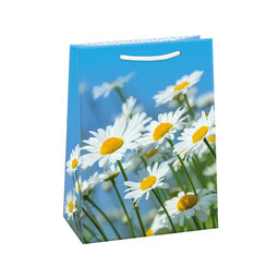 0757-0696 Gift bag