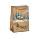 0824-0091 Gift bag NATUR