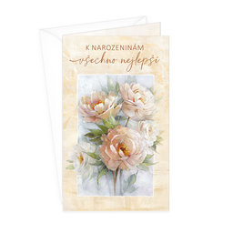 15-6516 Greeting card  CZ