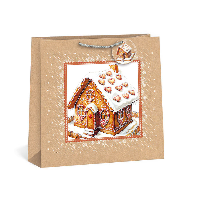 0885-0017 Gift bag SQUARE