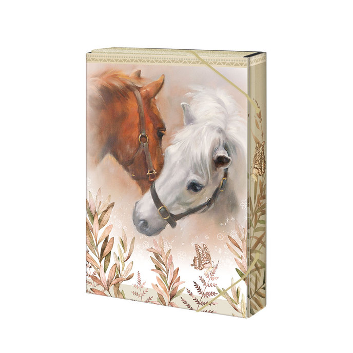 1241-0360 Box na sešity A5 Horses & me