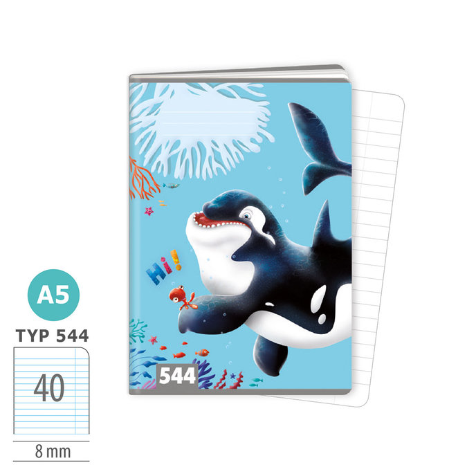 1592-0362 Sešit A5, 40 listů, TYP 544 Hi!