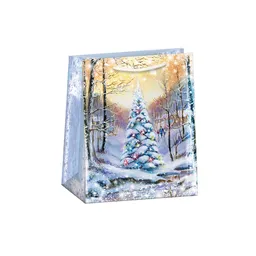 0843-0452 Gift bag