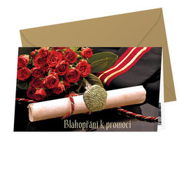 18-684  Graduation greeting card CZ