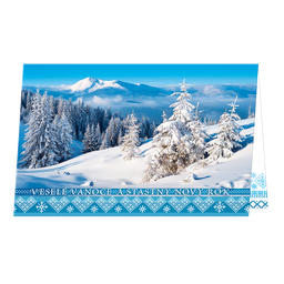 71-9006c Christmas greeting card 3D CZ