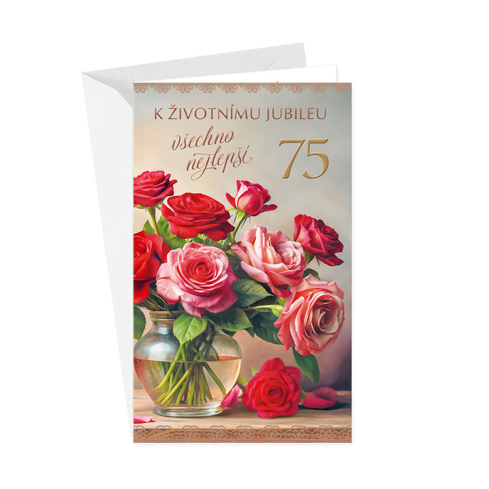 15-6609 Blahopřání gratulační klopa na peníze CZ/75