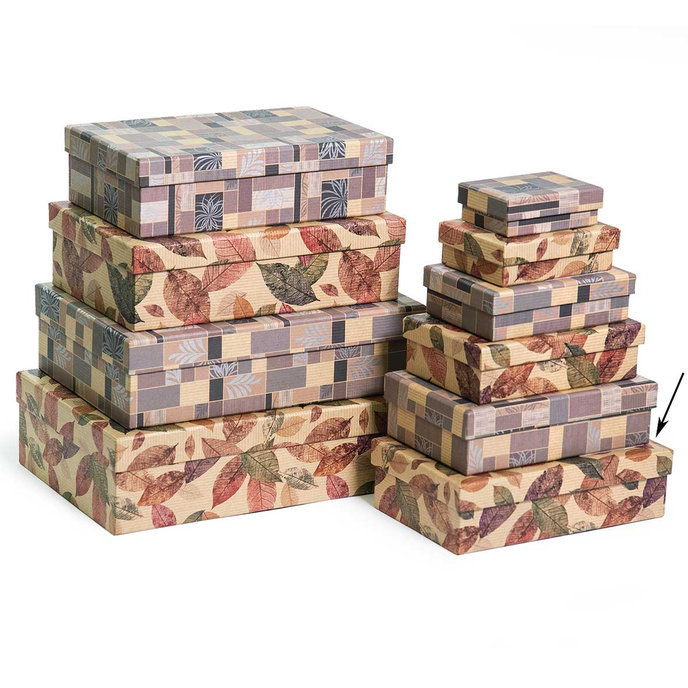 2536-0164 Dárková krabice 18,6x11,7x5,3cm /2500-8164/