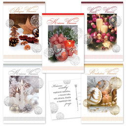 0611-0269c Christmas postcard CZ