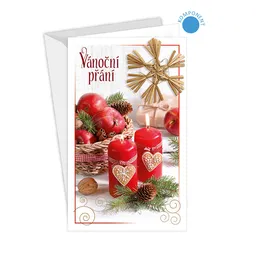 11-6461 Vánoční přání CZ
