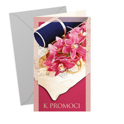 18-683  Graduation greeting card CZ