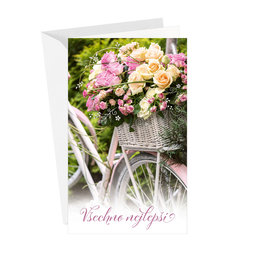 15-6541 Greeting card CZ