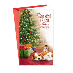 11-6441 Christmas greeting card CZ