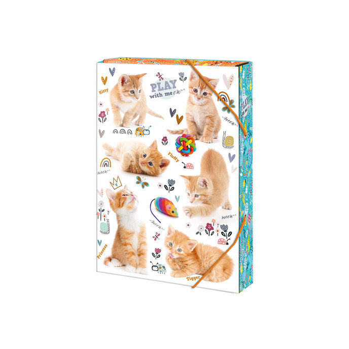 1241-0330 Box na sešity A5 Cats