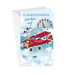 17-6047 Greeting card for children CZ