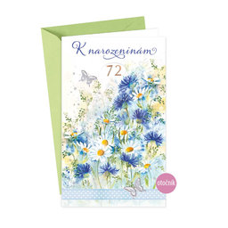 15-6466 Greeting card  CZ