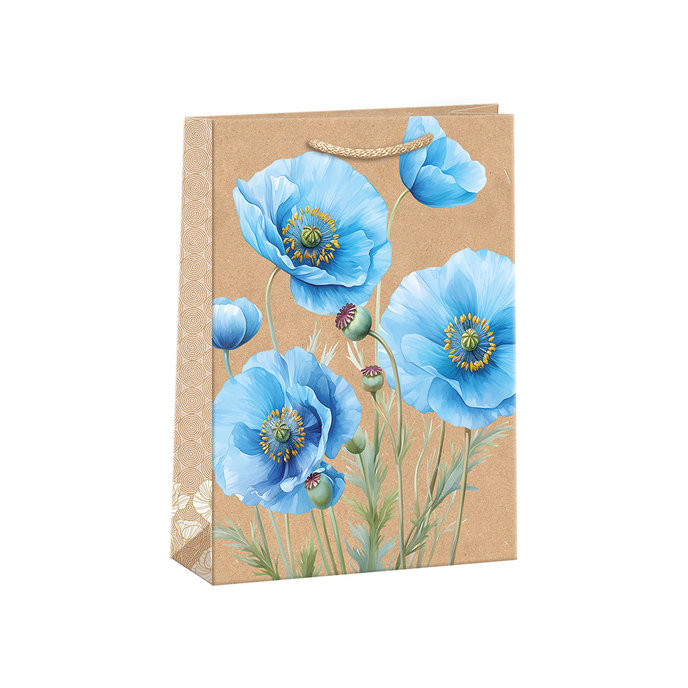 0754-0150 Dárková taška NATUR