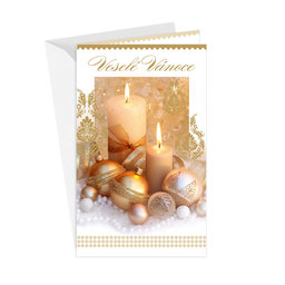 11-6541 Christmas greeting card CZ