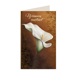 14-609 Condolences card CZ