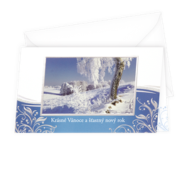 11-6259 Christmas greeting card CZ