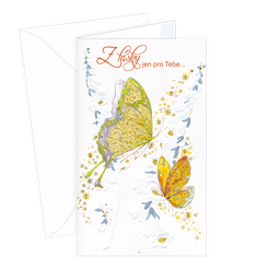 15-6137 Greeting card CZ