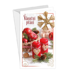 11-6461 Christmas greeting card CZ