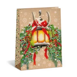 0884-0061 Gift bag NATUR