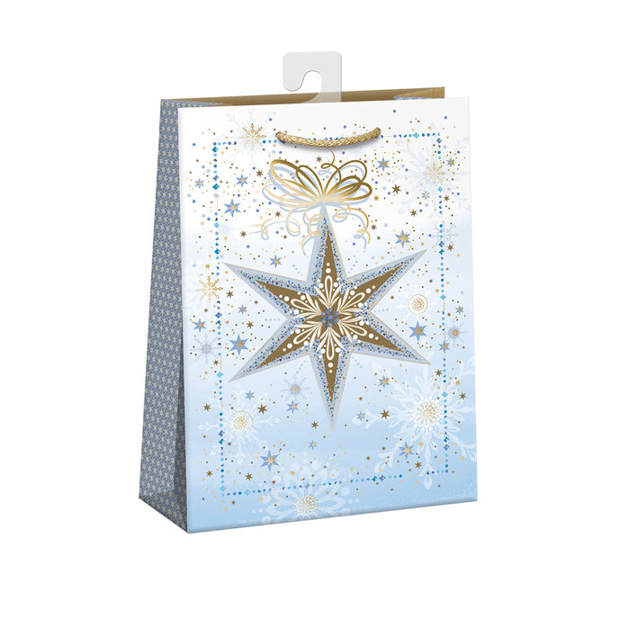 0859-0159 H Gift bag for vine LUX