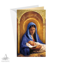 11-6543 Christmas greeting card CZ