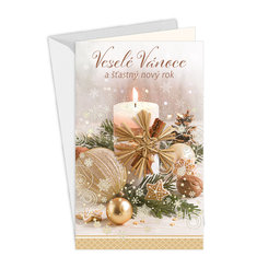 11-6423 Christmas greeting card with leap CZ