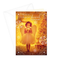 71-674 Christmas greeting card CZ