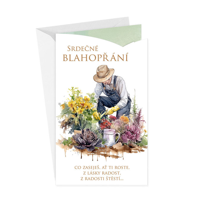 15-6588 Blahopřání gratulační CZ