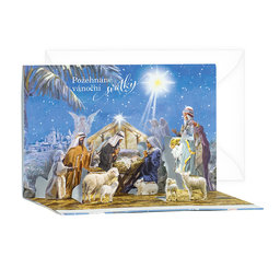 11-5041 Christmas greeting card CZ