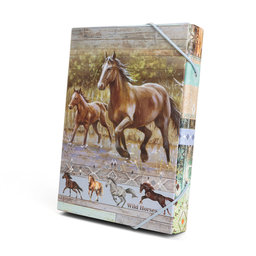 1241-0414 Box na sešity A5 Wild horses