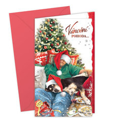 11-6327 Christmas greeting card CZ