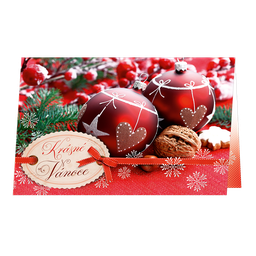 71-9004c Christmas greeting card 3D CZ