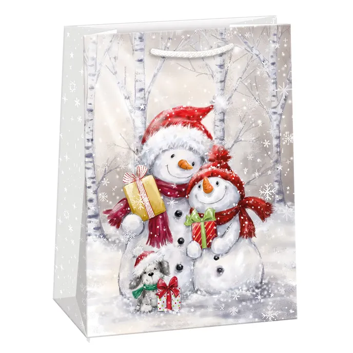 0893-0456 Gift bag PUV