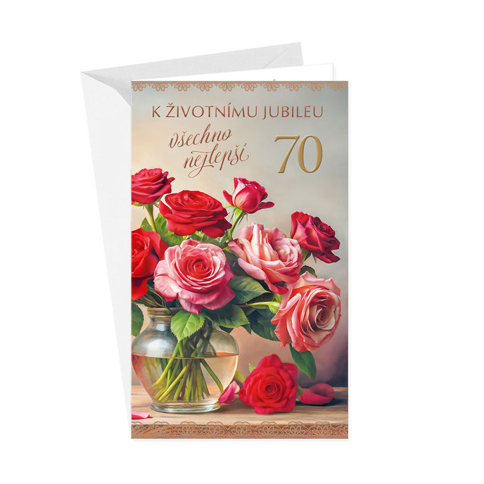 15-6609 Blahopřání gratulační klopa na peníze CZ/70