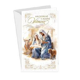 11-6528 Christmas greeting card CZ