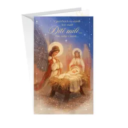 11-6434 Christmas greeting card CZ