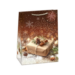 0853-0474 Gift bag