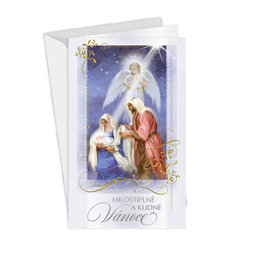 11-6367 Christmas greeting card CZ