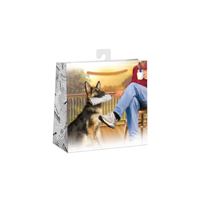 0727-0798 H Dárková taška LESKLÁ