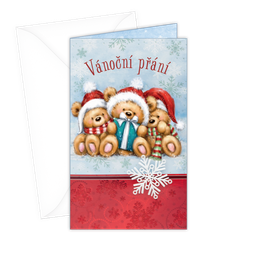 11-6237 Christmas greeting card CZ