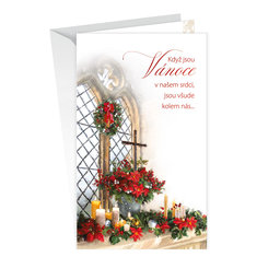 11-6403 Christmas greeting card with leap CZ