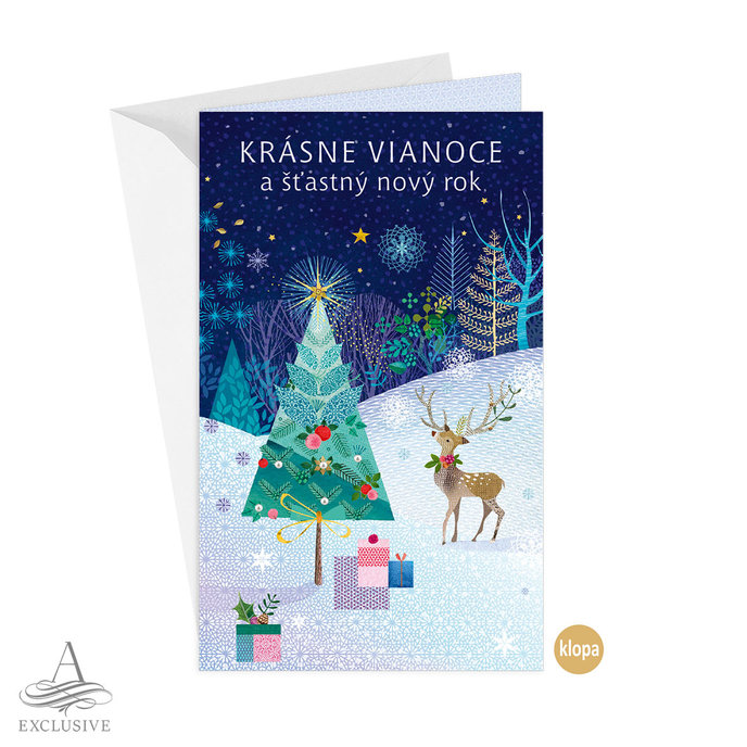 11-6476 Vánoční přání s kapsou na peníze SK